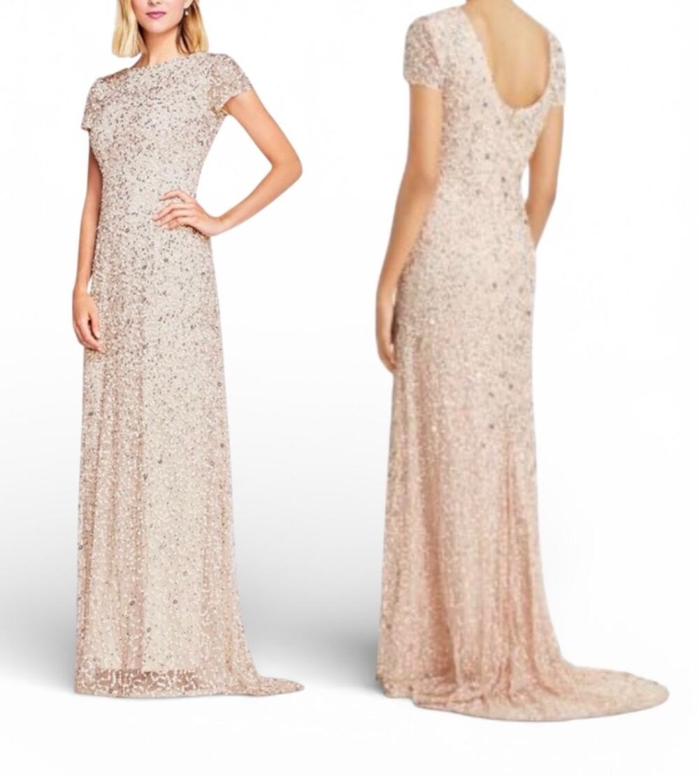 Adrianna Papell Scoop‎ Back Sequin Gown Cap Sleeve Evening Dress Blush 10P Blush